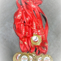 Μετάλλια αθλητών για την διοργάνωση Σύζαθλος